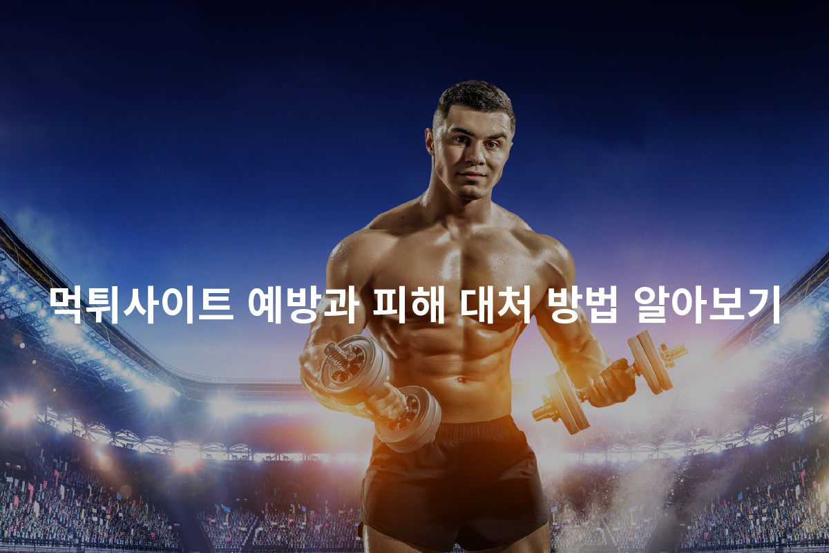 먹튀사이트 예방과 피해 대처 방법 알아보기